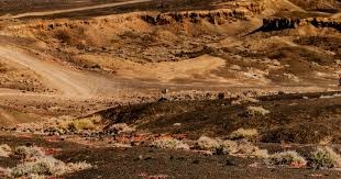 2023棒球经典赛-张育成入36人集训名单